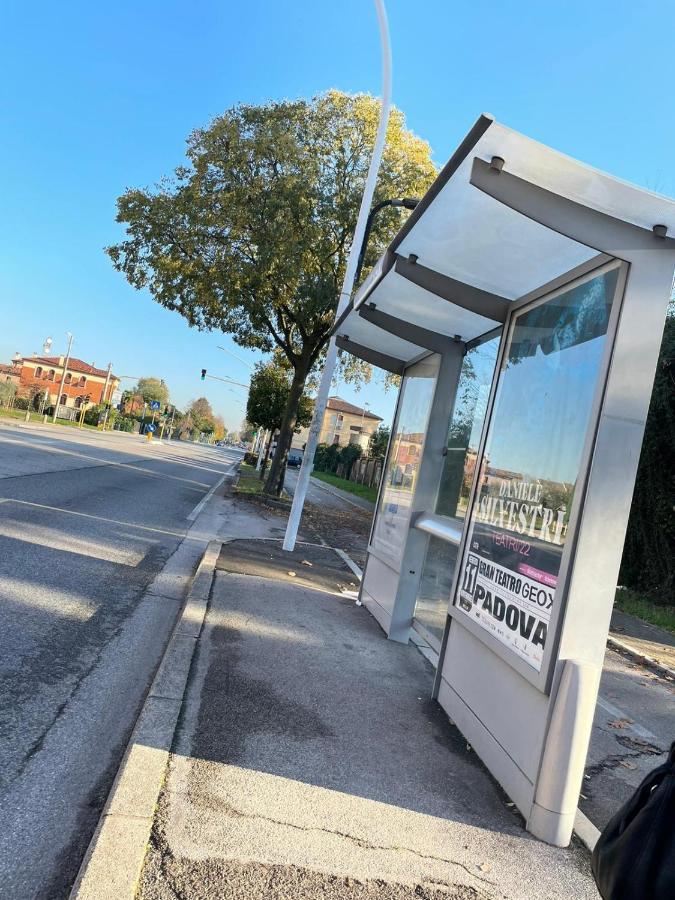 Appartamento Al Parco بادوفا المظهر الخارجي الصورة